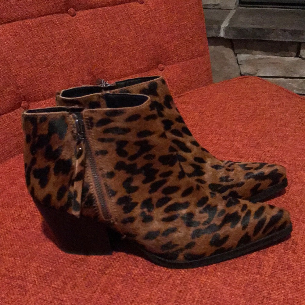 Sam Edelman Leopard Print Ankle Booties in Brown and Black